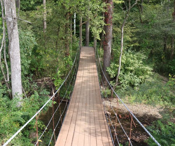 Hancock County, Greenfield, Thornwood Preserve, Suspension bridge, Trees, Hiking