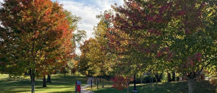 Riley Park Fall by LFL